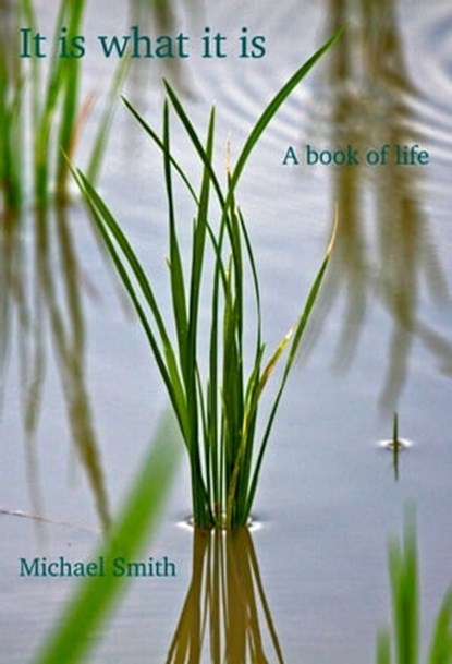 It Is What It Is, Michael Smith - Ebook - 9781310115646