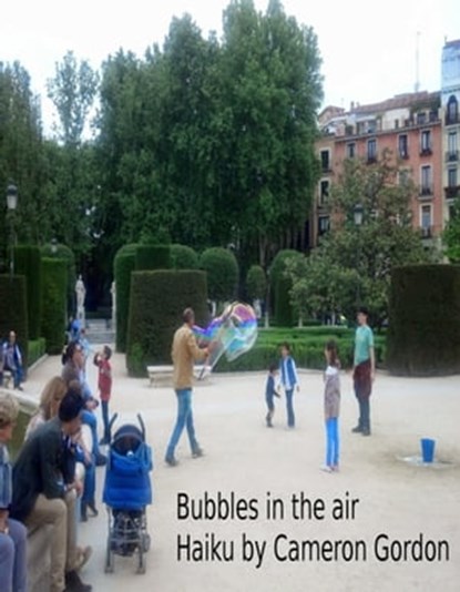 Bubbles In The Air, Cameron Gordon - Ebook - 9781310310133