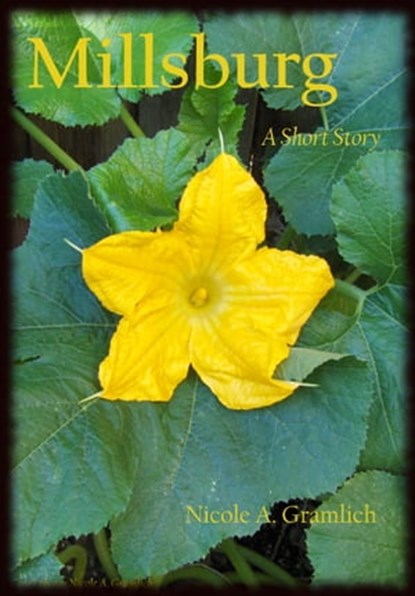 Millsburg, Nicole A. Gramlich - Ebook - 9781310372261