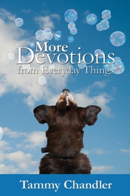 More Devotions from Everyday Things, Tammy Chandler - Ebook - 9781310382017