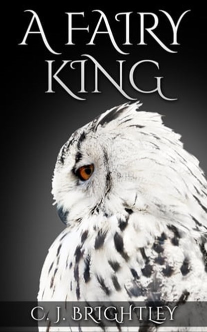 A Fairy King, C. J. Brightley - Ebook - 9781310821899