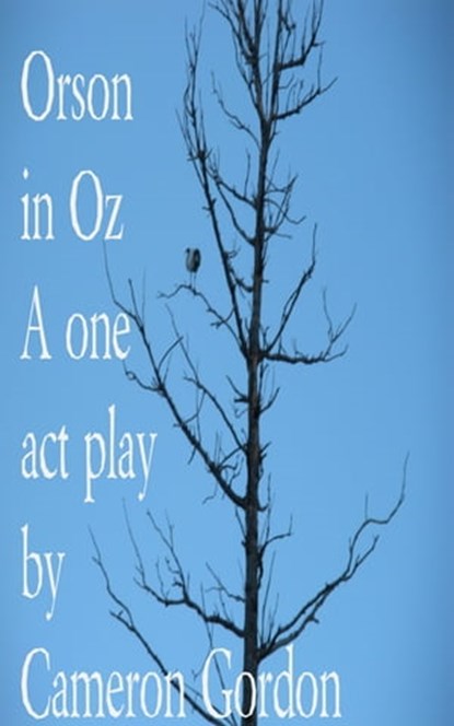 Orson in Oz, Cameron Gordon - Ebook - 9781310877766