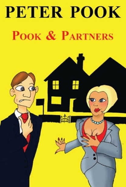 Pook & Partners, Peter Pook - Ebook - 9781310930621