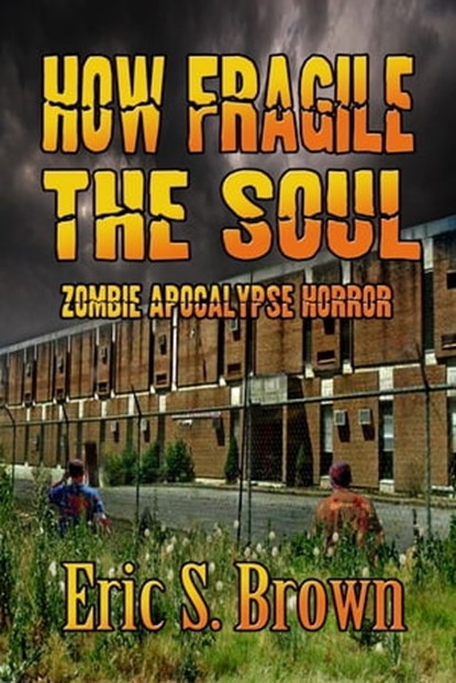 How Fragile The Soul, Eric S. Brown - Ebook - 9781311008015