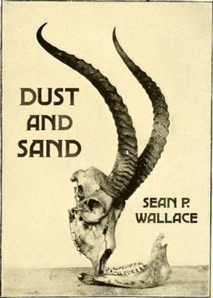 Dust and Sand, Sean P. Wallace - Ebook - 9781311082466