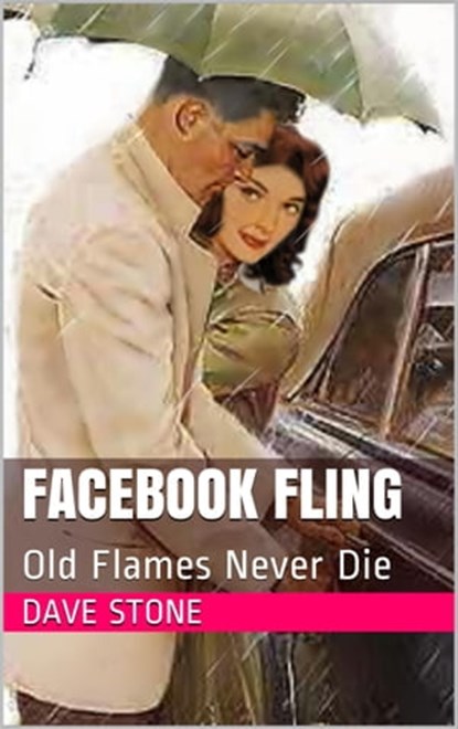 Facebook Fling, Dave Stone - Ebook - 9781311088734