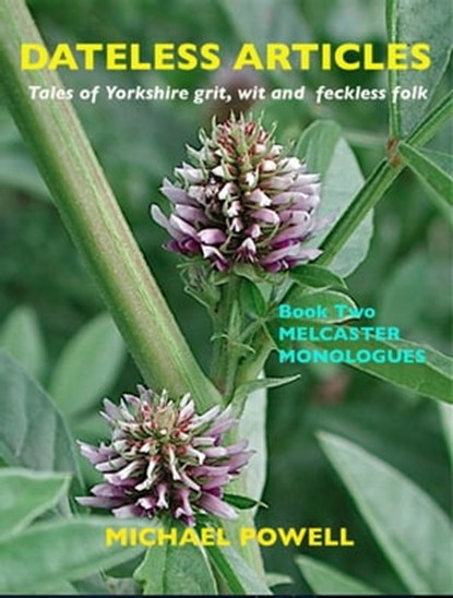 Dateless ARTICLES - Book Two - Melcaster Monologues, Michael Powell - Ebook - 9781311134974