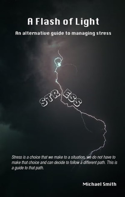 A Flash of Light, Michael Smith - Ebook - 9781311178268