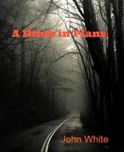 A Hitch in Plans, John White - Ebook - 9781311211866