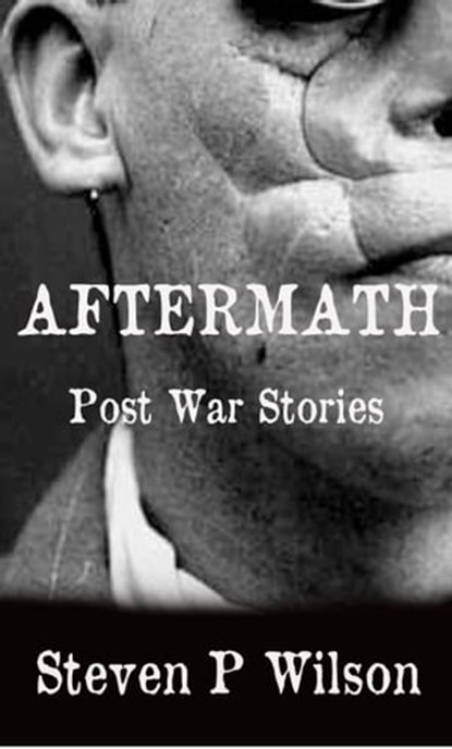 Aftermath, Steven Patrick Wilson - Ebook - 9781311631206