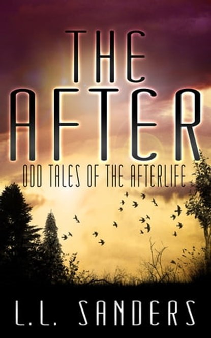 The After: Odd Tales of the Afterlife, L.L. Sanders - Ebook - 9781311965790