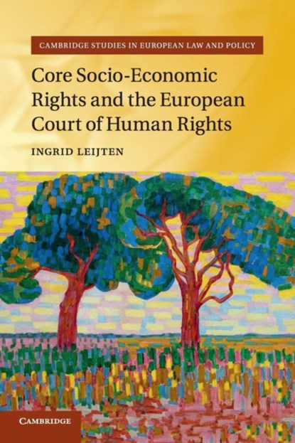 Core Socio-Economic Rights and the European Court of Human Rights, Ingrid (Universiteit Leiden) Leijten - Paperback - 9781316648216
