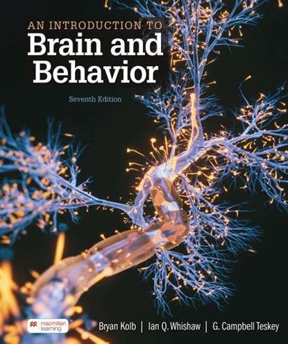 An Introduction to Brain and Behavior, Bryan Kolb ; Whishaw Ian ; Teskey G. - Paperback - 9781319498566