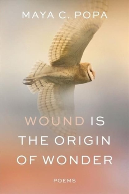 WOUND IS THE ORIGIN OF WONDER 8211 P, Maya C. Popa - Gebonden - 9781324021360