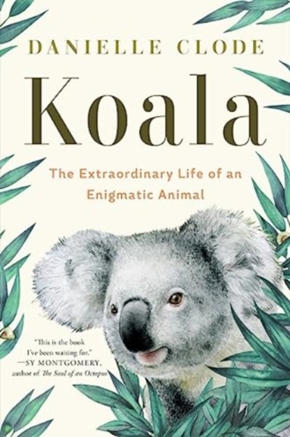 Koala, Danielle Clode - Paperback - 9781324074496