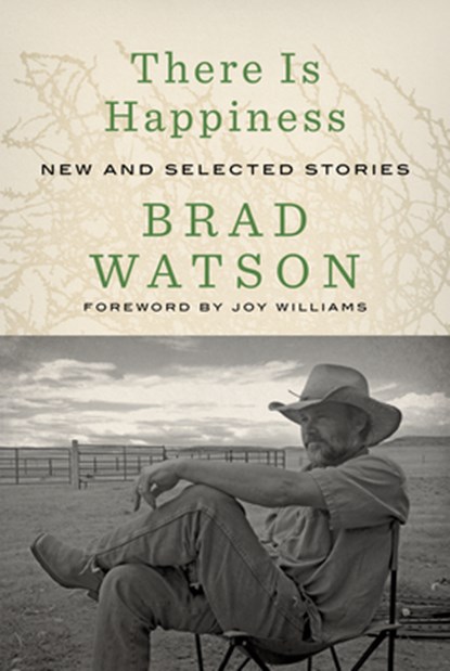 There Is Happiness, Brad Watson - Gebonden - 9781324076421