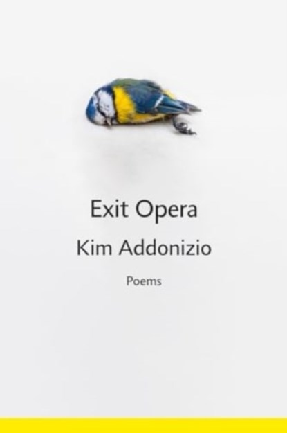 Exit Opera, Kim Addonizio - Gebonden - 9781324078937