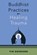 Buddhist Practices for Healing Trauma, Tim Desmond - Paperback - 9781324082477