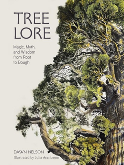 Tree Lore: Magic, Myth, and Wisdom from Root to Bough, Dawn Nelson - Gebonden - 9781324111948