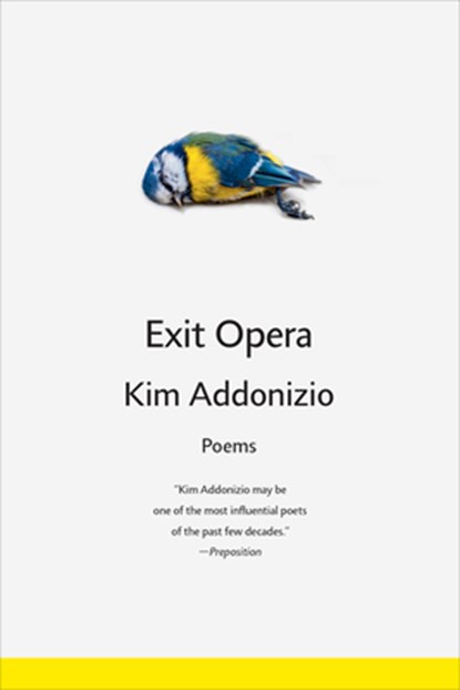 Exit Opera, Kim Addonizio - Paperback - 9781324130659