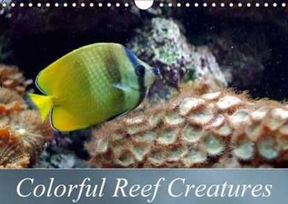 Colorful Reef Creatures, Bianca Schumann - Paperback - 9781325032259