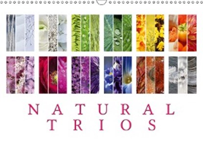 Natural Trios 2019, Martina Cross - Paperback - 9781325345960