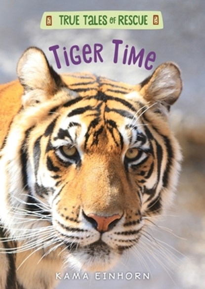 Tiger Time, Kama Einhorn - Gebonden - 9781328767073