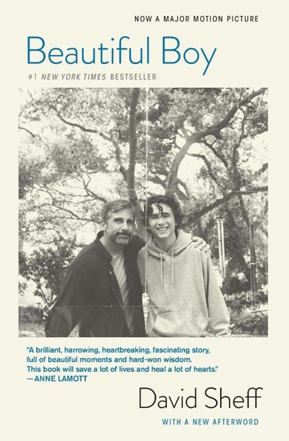 Beautiful Boy, David Sheff - Paperback - 9781328974716