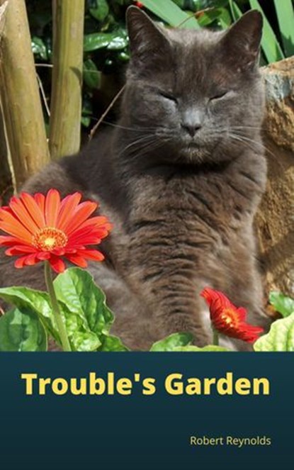Trouble's Garden, Robert Reynolds - Ebook - 9781329884151