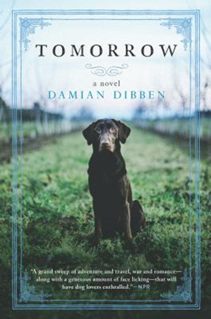 Tomorrow, Damian Dibben - Paperback - 9781335251008
