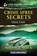 Crime Spree Secrets, Maggie K. Black - Paperback - 9781335400390