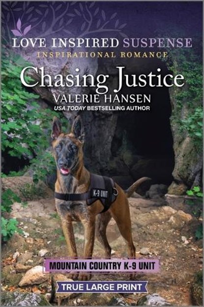 Chasing Justice, Valerie Hansen - Paperback - 9781335510419