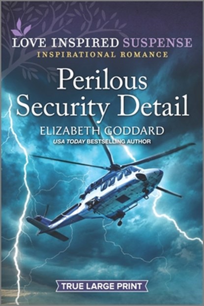 Perilous Security Detail, Elizabeth Goddard - Paperback - 9781335588890
