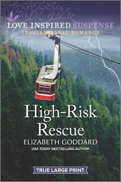 High-Risk Rescue, GODDARD,  Elizabeth - Paperback - 9781335736093