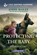Protecting the Baby, Jodie Bailey - Paperback - 9781335906793