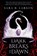 Dark Breaks the Dawn, Sara B. Larson - Paperback - 9781338068702