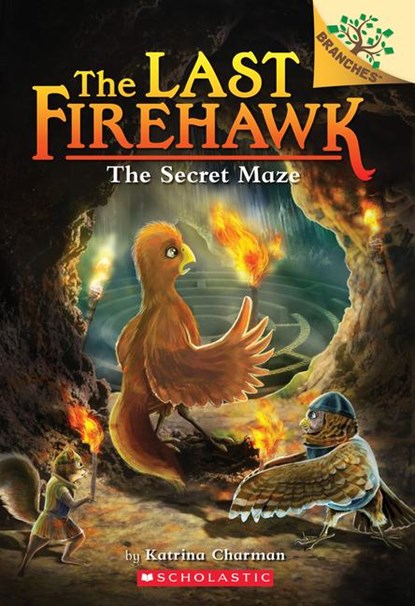 The Secret Maze, Katrina Charman - Paperback - 9781338565379
