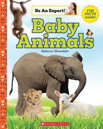 Baby Animals, Rebecca Silverstein - Gebonden - 9781338797848