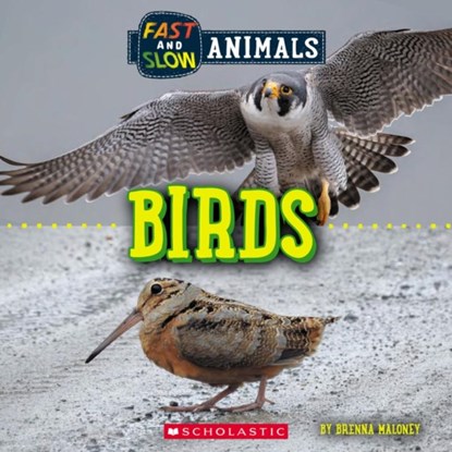 Birds (Wild World: Fast and Slow Animals), Brenna Maloney - Paperback - 9781338836530