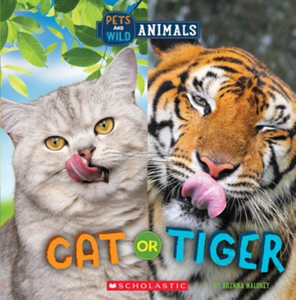 Cat or Tiger (Wild World: Pets and Wild Animals), Brenna Maloney - Paperback - 9781338899788