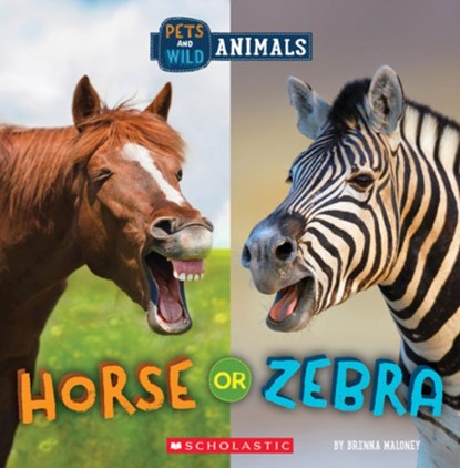 Horse or Zebra (Wild World: Pets and Wild Animals), Brenna Maloney - Paperback - 9781338899849