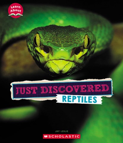 Just Discovered Reptiles (Learn About: Animals), LESLIE,  Jay - Paperback - 9781339020433