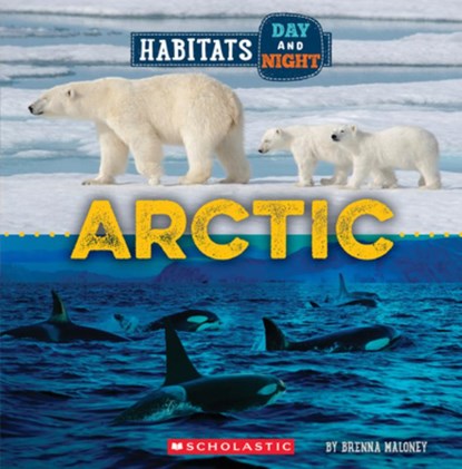 Arctic (Wild World: Habitats Day and Night), Brenna Maloney - Paperback - 9781339020709