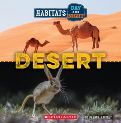 Desert (Wild World: Habitats Day and Night), Brenna Maloney - Paperback - 9781339020730
