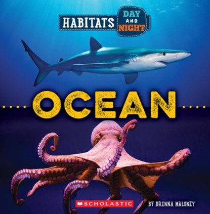 Ocean (Wild World: Habitats Day and Night), Brenna Maloney - Paperback - 9781339020761