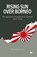 Rising Sun over Borneo, GIN,  Ooi Keat - Paperback - 9781349273027