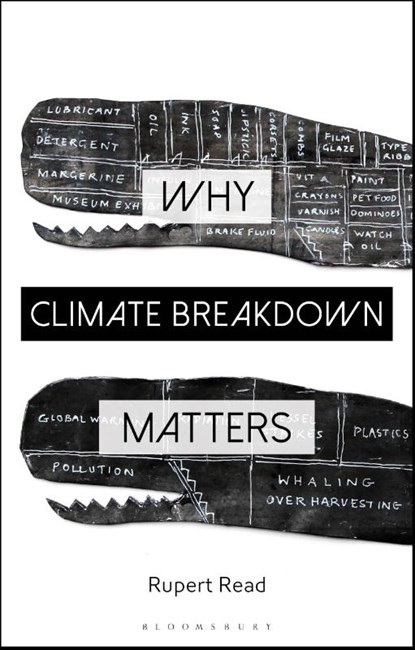 Why Climate Breakdown Matters, Dr Rupert Read - Paperback - 9781350212015