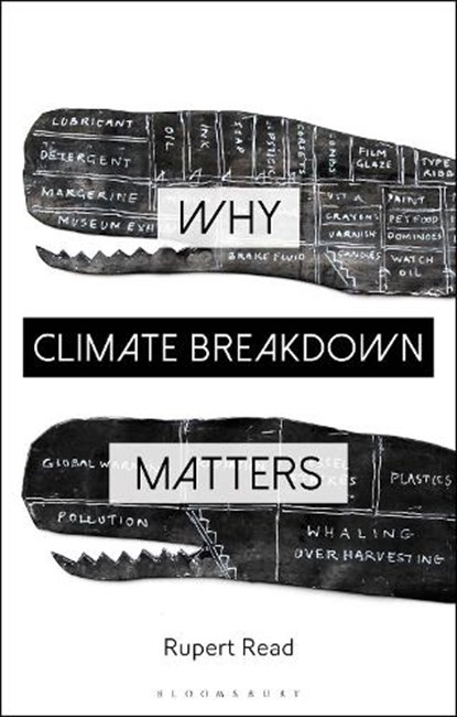 Why Climate Breakdown Matters, Dr Rupert Read - Gebonden - 9781350212022