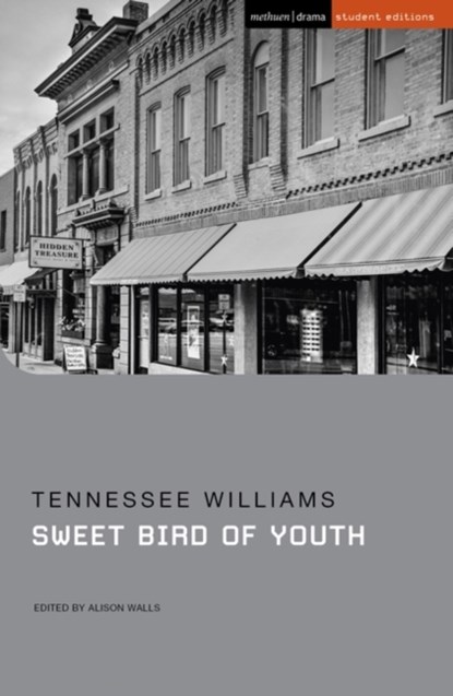 Sweet Bird of Youth, Tennessee Williams - Paperback - 9781350238022