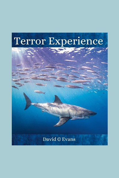 Terror Experience, David Evans - Paperback - 9781365669583